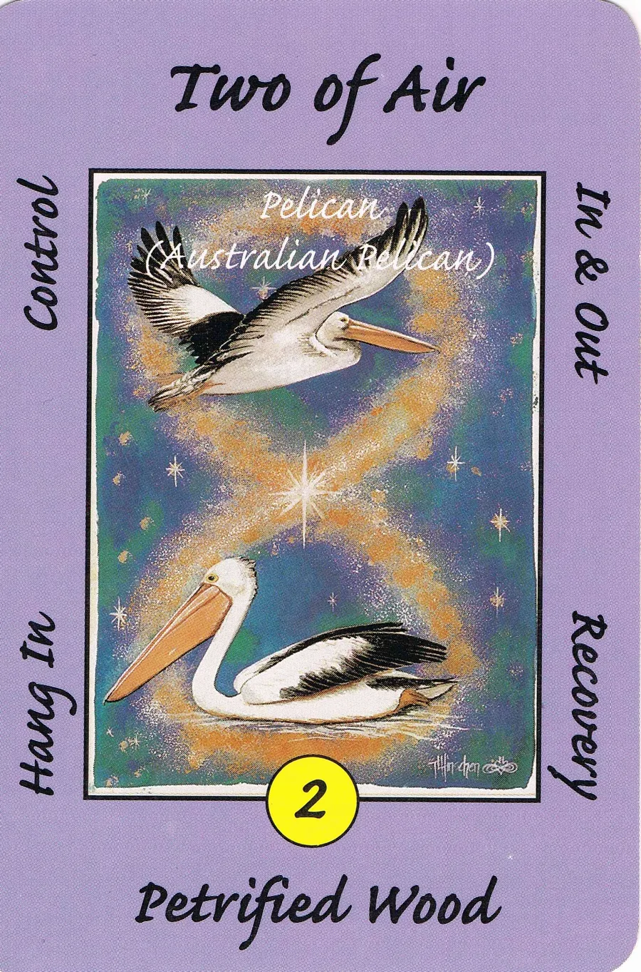 Two of Air from the Australian Animal Tarot deck