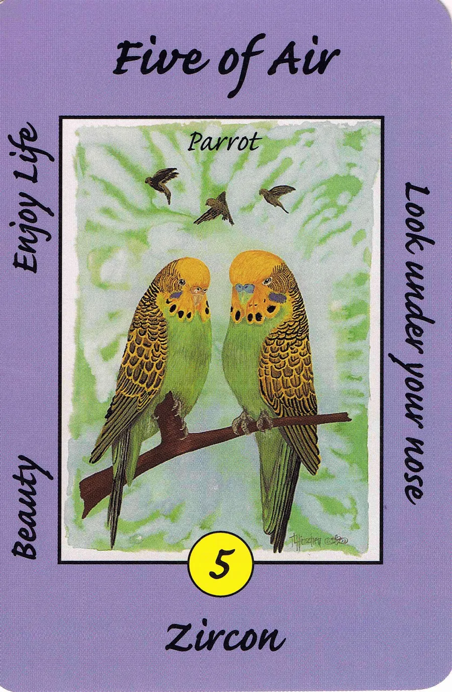 Five of Air from the Australian Animal Tarot deck