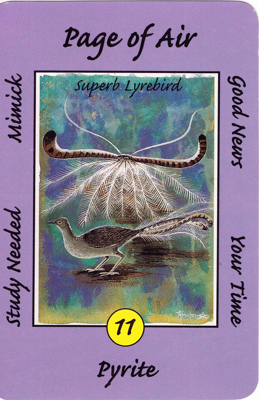Page of Air from the Australian Animal Tarot deck