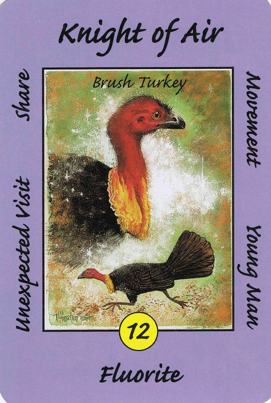 Knight of Air from the Australian Animal Tarot deck