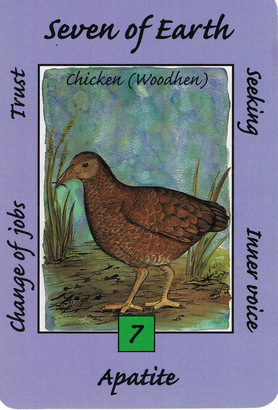 Seven of Earth from the Australian Animal Tarot deck