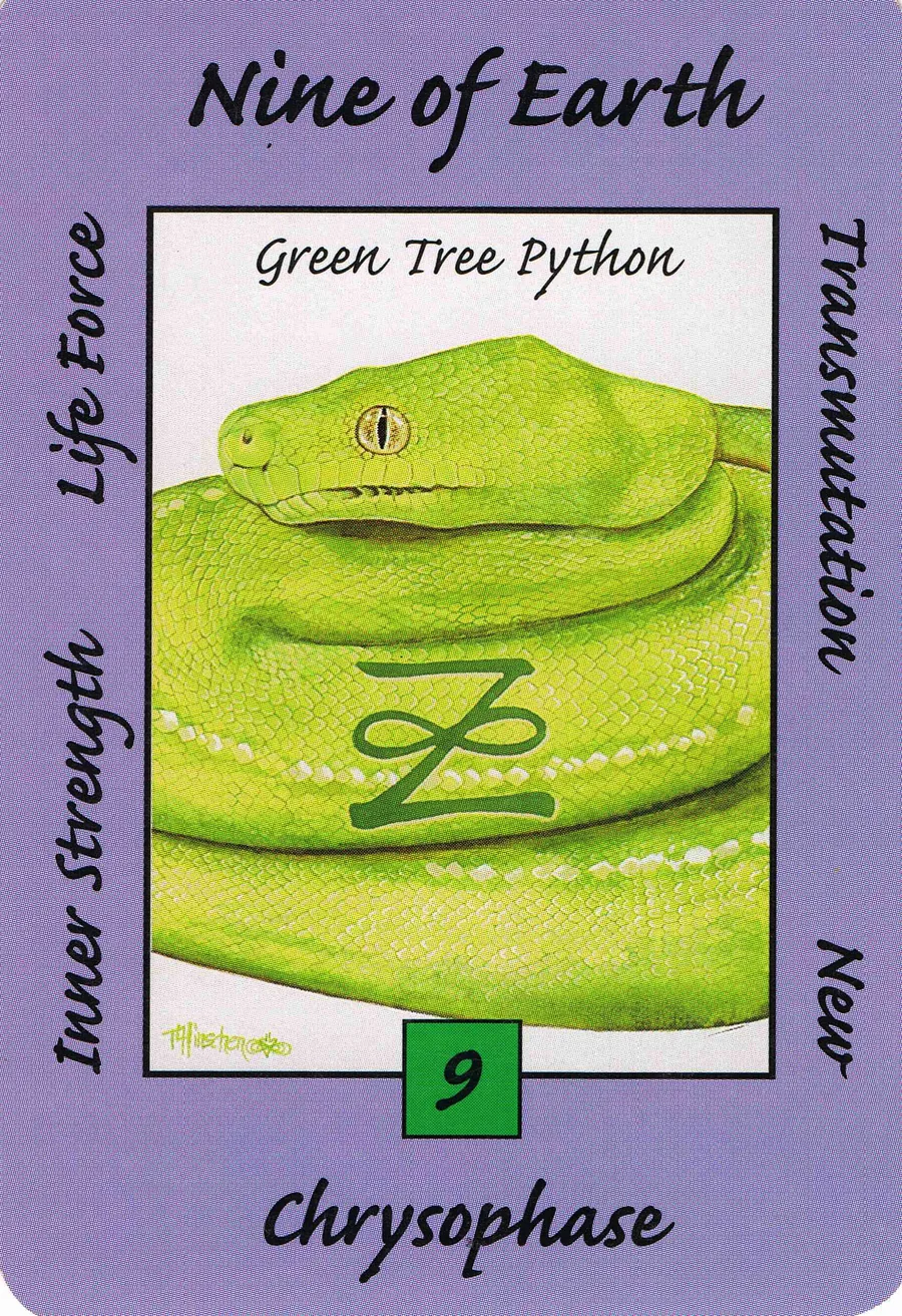 Nine of Earth from the Australian Animal Tarot deck