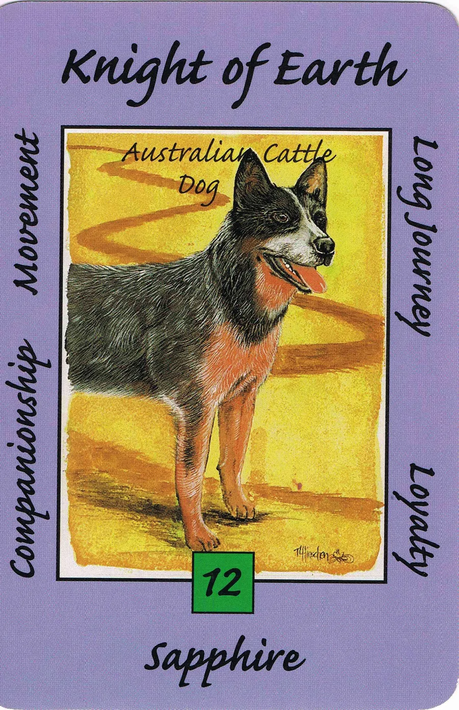 Knight of Earth from the Australian Animal Tarot deck
