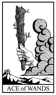 Ace of Wands card from the Bianco Nero Tarot deck