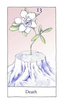 Death card from the The Birdqueen Tarot deck