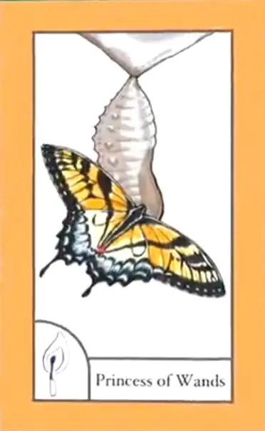 Princess of Wands card from the The Birdqueen Tarot deck