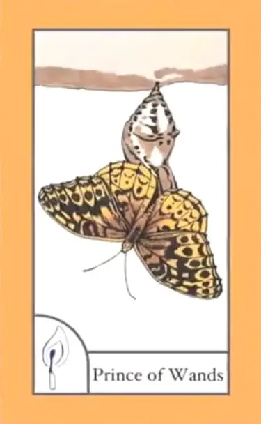 Prince of Wands card from the The Birdqueen Tarot deck
