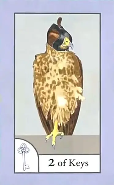 2 of Keys card from the The Birdqueen Tarot deck