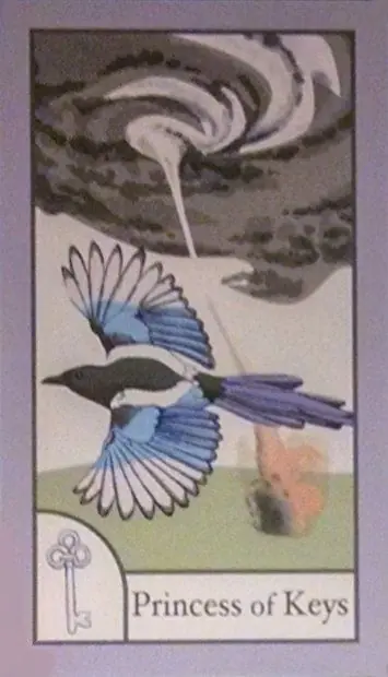 Princess of Keys card from the The Birdqueen Tarot deck