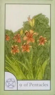 9 of Pentacles card from the The Birdqueen Tarot deck