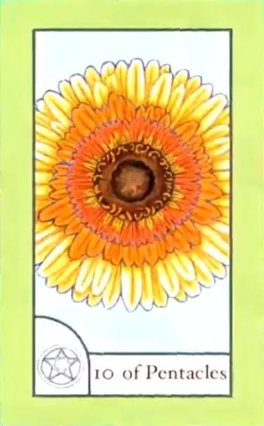 10 of Pentacles card from the The Birdqueen Tarot deck