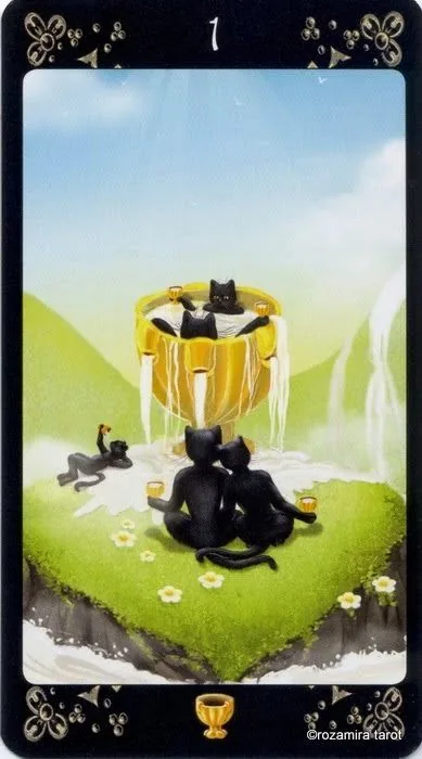 Black Cats Tarot Review 8 Ace of Cups from Black Cats Tarot