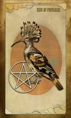 Page of Pentacles card from The Black Ibis Tarot