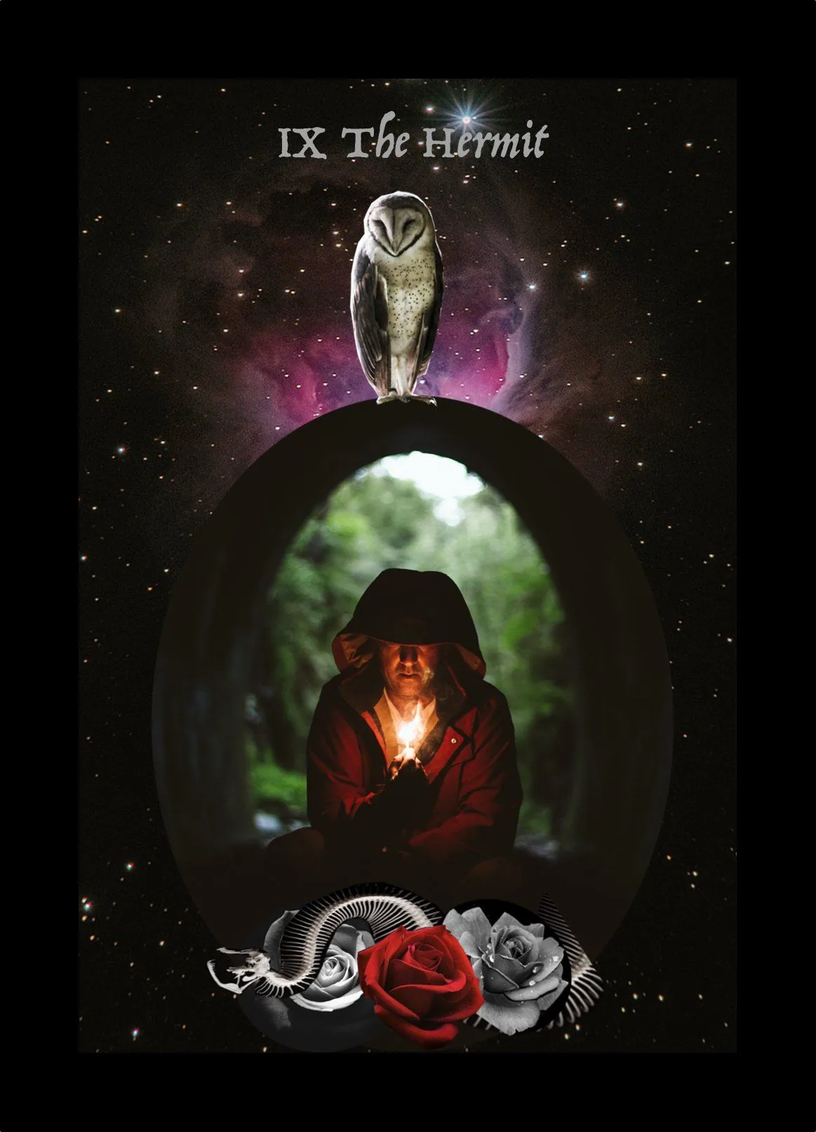 The Hermit card from the Blood, Bread & Roses Tarot deck