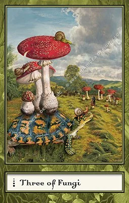 Three of Fungi card from the Boadiceas Tarot deck