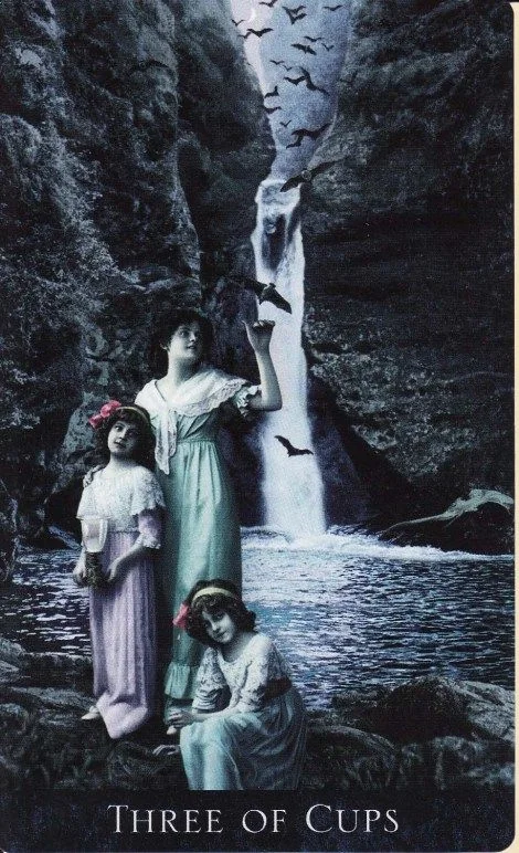 Three of Cups from The Bohemian Gothic Tarot deck