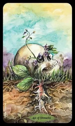 Bonestone Earthflesh Tarot source-order card image 60