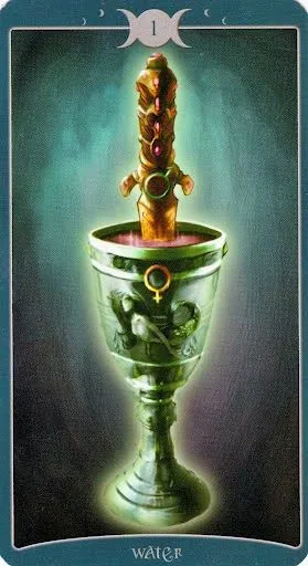 Book of Shadows Tarot card 66 card from the The Book Of Shadows Tarot deck