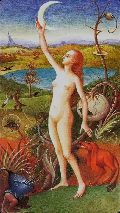 The Bosch Tarot Review 6 Bosch Tarot card image 24