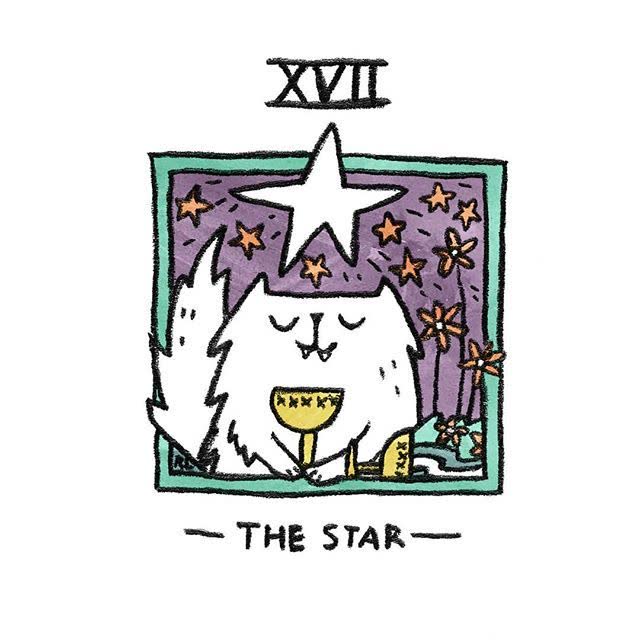 The Star card from the Mini Cat Tarot deck