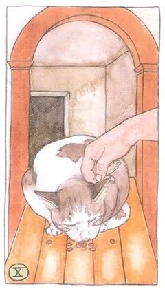 10 of Pentacles - Cat Tarot - Tarot Deck by Megan Lynn Kott