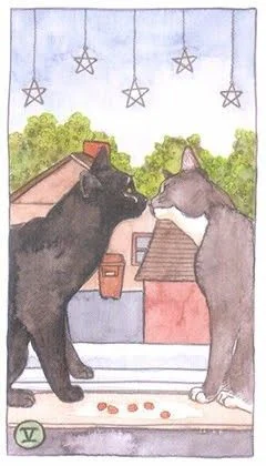 5 of Pentacles - Cat Tarot - Tarot Deck by Megan Lynn Kott