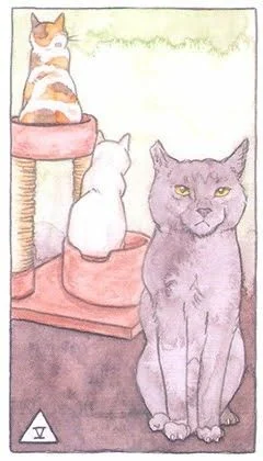 5 of Swords - Cat Tarot - Tarot Deck by Megan Lynn Kott