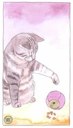 7 of Pentacles - Cat Tarot - Tarot Deck by Megan Lynn Kott