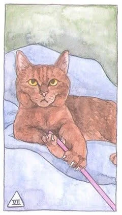 7 of Swords - Cat Tarot - Tarot Deck by Megan Lynn Kott