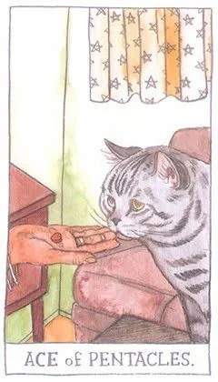 Ace of Pentacles - Cat Tarot - Tarot Deck by Megan Lynn Kott