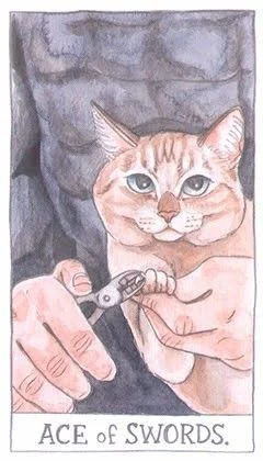 Ace of Swords - Cat Tarot - Tarot Deck by Megan Lynn Kott
