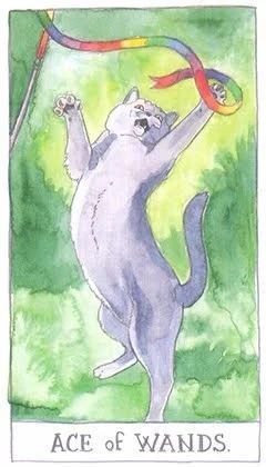 Ace of Wands - Cat Tarot - Tarot Deck by Megan Lynn Kott