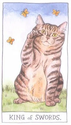 King of Swords - Cat Tarot - Tarot Deck by Megan Lynn Kott
