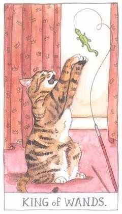 King of Wands - Cat Tarot - Tarot Deck by Megan Lynn Kott