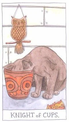 Knight of Cups - Cat Tarot - Tarot Deck by Megan Lynn Kott