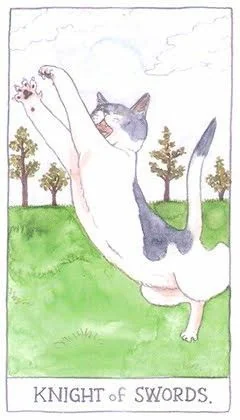 Knight of Swords - Cat Tarot - Tarot Deck by Megan Lynn Kott