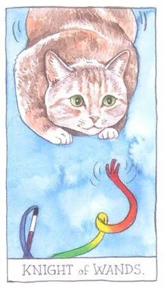 Knight of Wands - Cat Tarot - Tarot Deck by Megan Lynn Kott