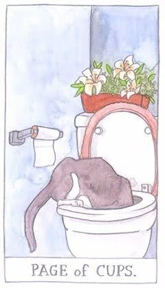 Page of Cups - Cat Tarot - Tarot Deck by Megan Lynn Kott