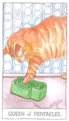 Queen of Pentacles - Cat Tarot - Tarot Deck by Megan Lynn Kott