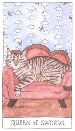 Queen of Swords - Cat Tarot - Tarot Deck by Megan Lynn Kott