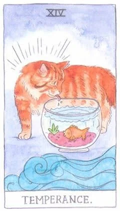 Temperance - Cat Tarot - Tarot Deck by Megan Lynn Kott
