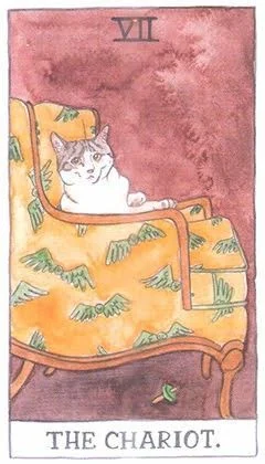 The Chariot - Cat Tarot - Tarot Deck by Megan Lynn Kott