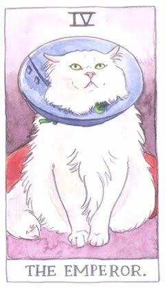 The Emperor - Cat Tarot - Tarot Deck by Megan Lynn Kott