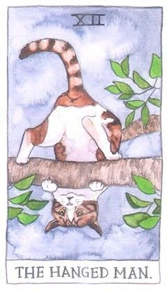The Hanged Man - Cat Tarot - Tarot Deck by Megan Lynn Kott