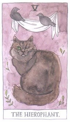 The Hierophant - Cat Tarot - Tarot Deck by Megan Lynn Kott
