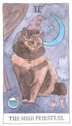 The High Priestess - Cat Tarot - Tarot Deck by Megan Lynn Kott