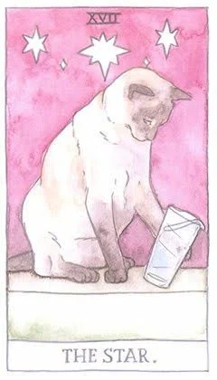 The Star - Cat Tarot - Tarot Deck by Megan Lynn Kott
