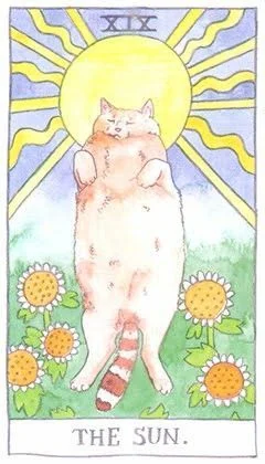 The Sun - Cat Tarot - Tarot Deck by Megan Lynn Kott