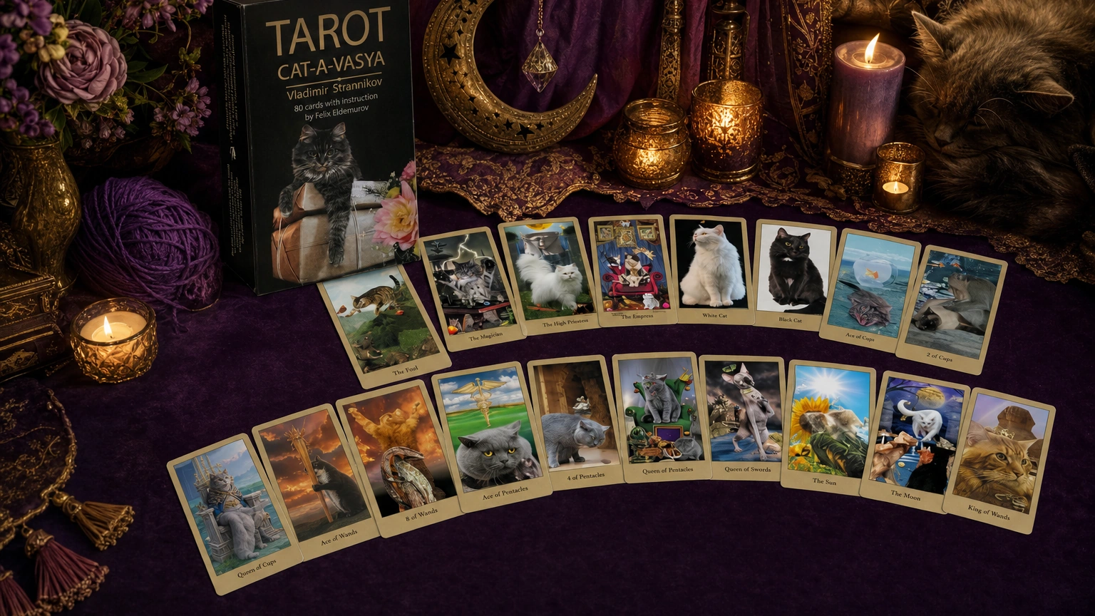 Cat-A-Vasya Tarot Review 28 Cat-A-Vasya Tarot final card lifestyle image