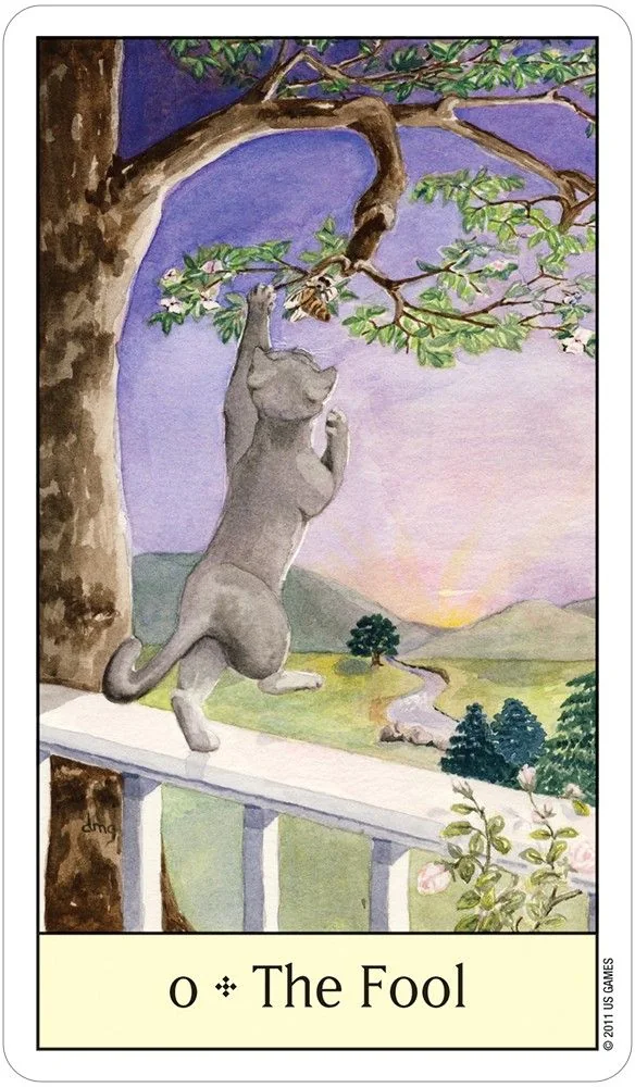 The Fool card from the Cats Eye Tarot deck